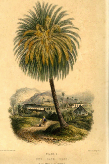 Joseph Bartholomew Kidd   (1808 – 1889)
