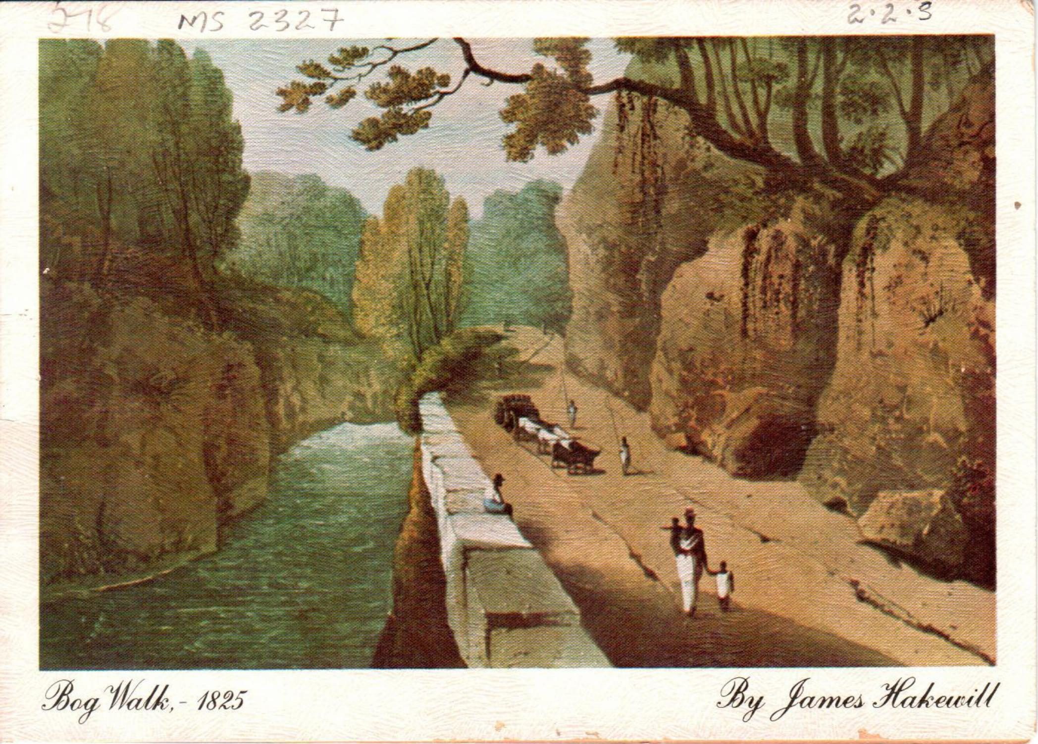 Bog Walk 1825